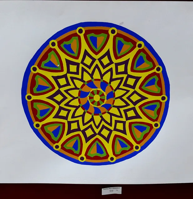 Ortaöğretim · 151