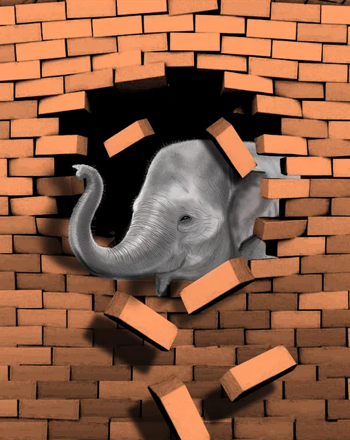 Grafik tasarım · 59