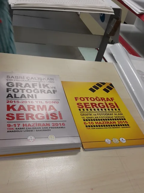 Ortaöğretim · 12