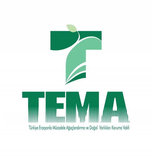Logo · 45