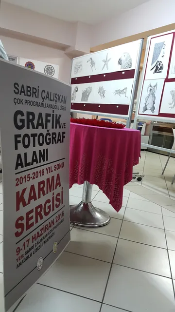Ortaöğretim · 254