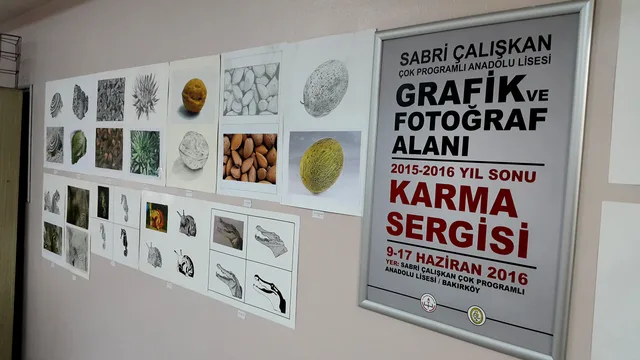 Ortaöğretim · 215
