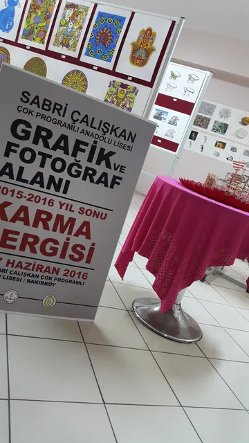 Ortaöğretim · 251