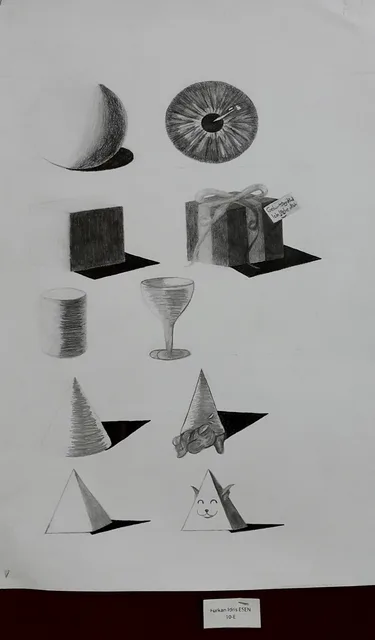 Ortaöğretim · 176