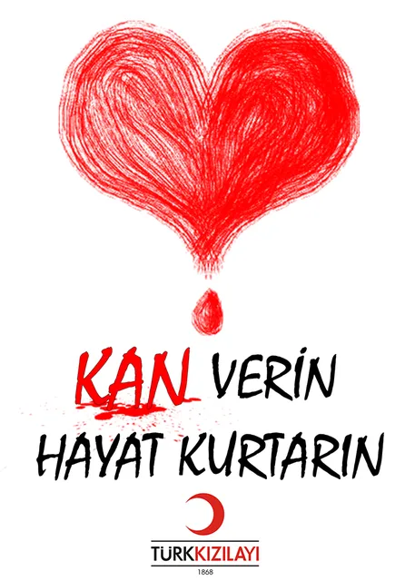 Öğrenci afişleri · 61
