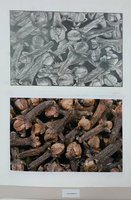 Ortaöğretim · 207