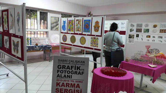 Ortaöğretim · 252