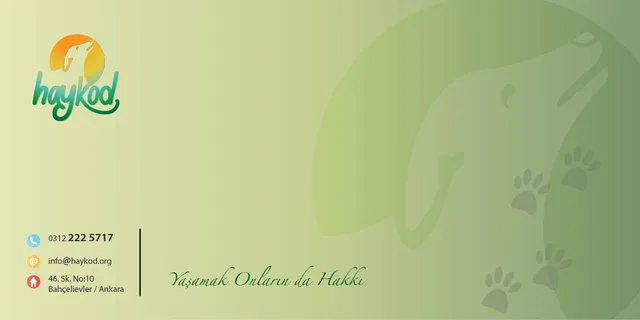 Grafik tasarım · 119