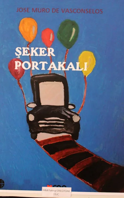 Ortaöğretim · 55