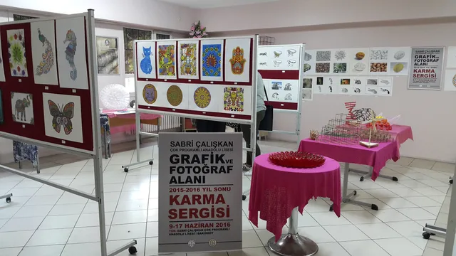 Ortaöğretim · 255